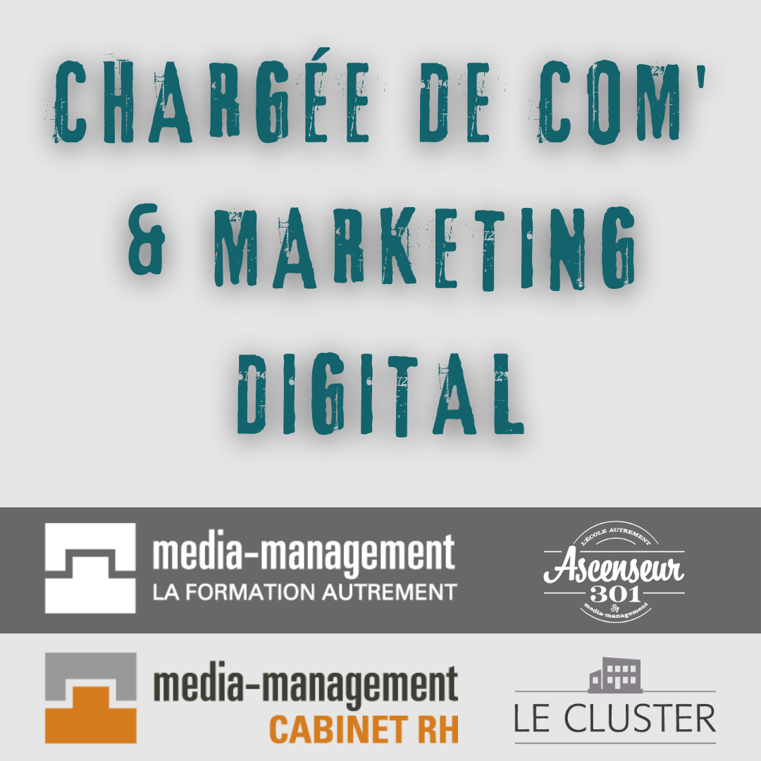 image qui illustre l'expérience de chargée de com et de marketing digital chez media management