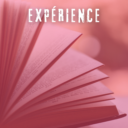 expériences professionnelles qui renvoie vers page expériences